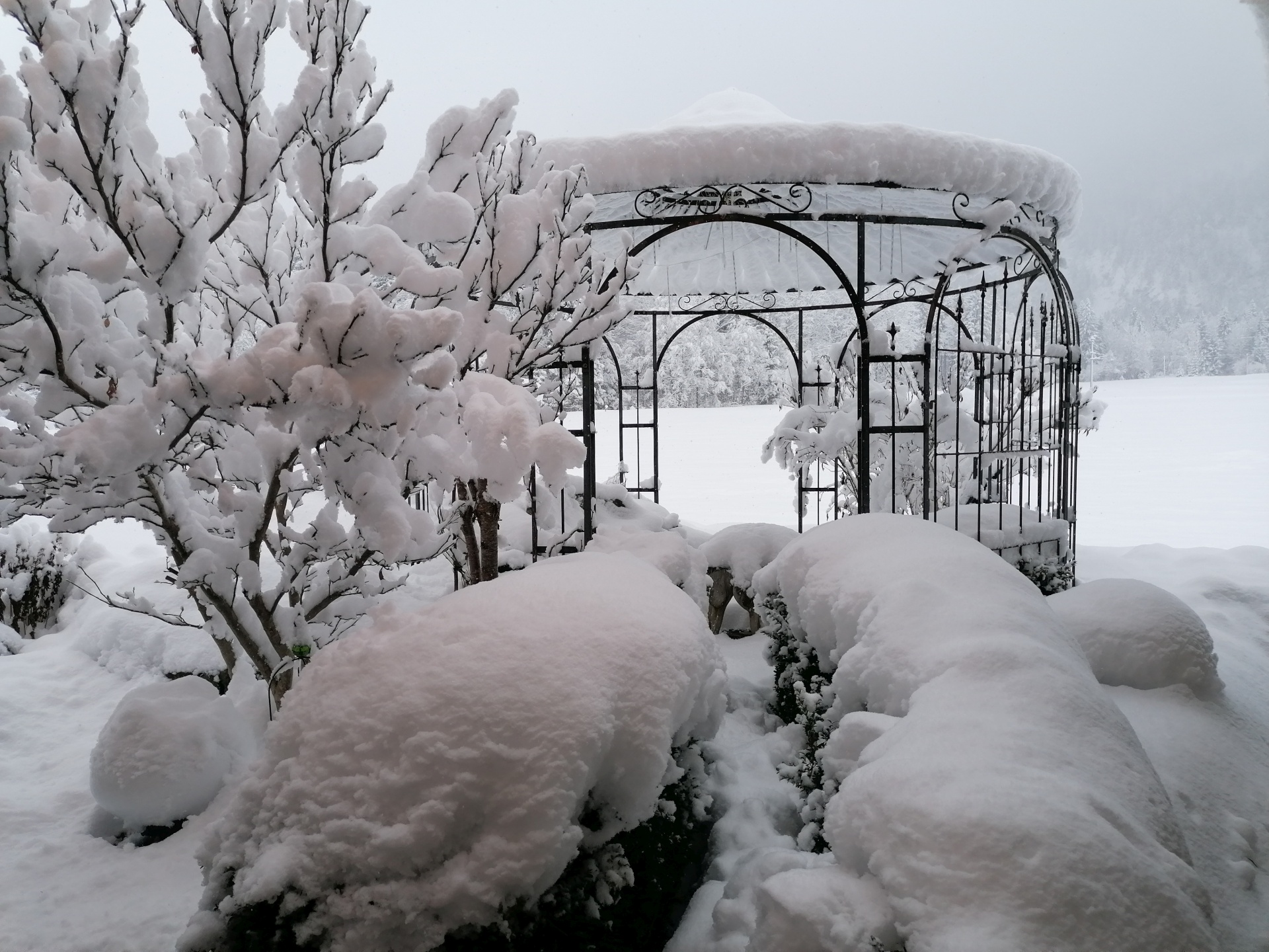 gloriette en fer forgé sous une couverture de neige épaisse